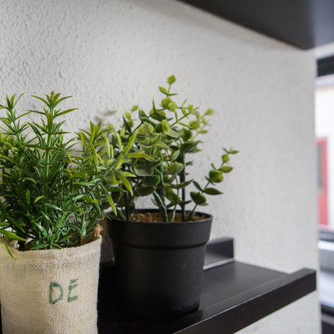 Bungalow 6 personen - Lakeside 61