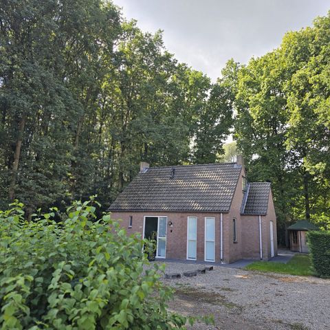 Bungalow 6 personen - Forest 117 Sauna