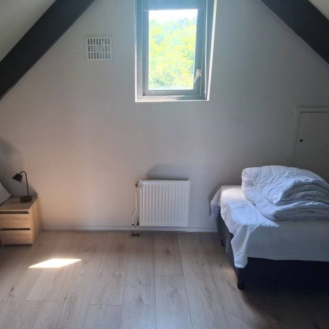 Bungalow 6 personen - Forest 277