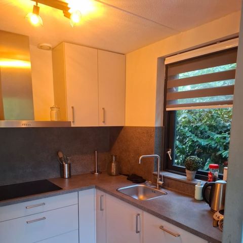 Bungalow 6 personen - Forest 277