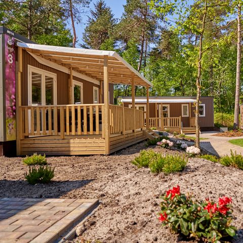 Vakantiepark Het Lierderholt - Apeldoorn - Afbeelding N°5