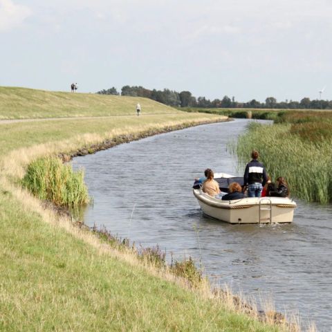 Summio Vakantiepark It Wiid - Tietjerksteradeel - Afbeelding N°5