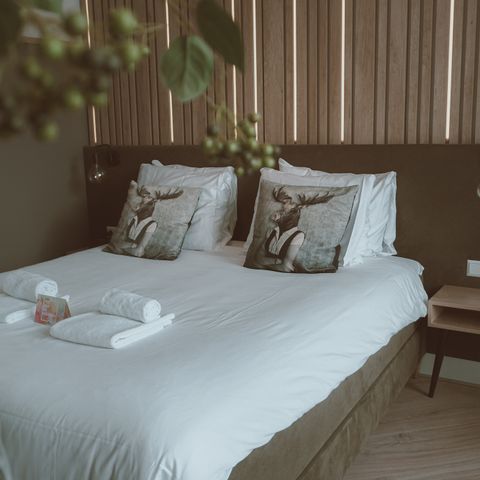 Hotelkamer 4 personen - Luxe Hotelkamer