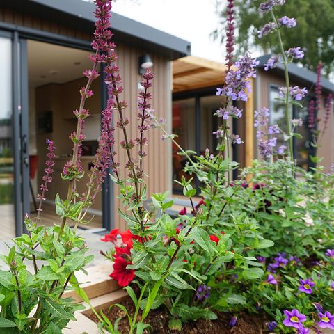 Lodge 2 personen - Hotel