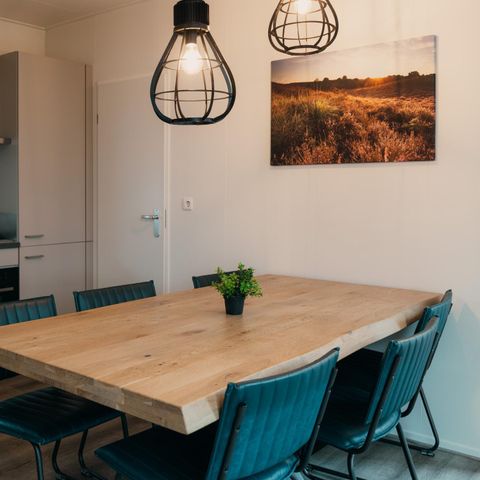 Chalet 6 personen - Veluwe villa
