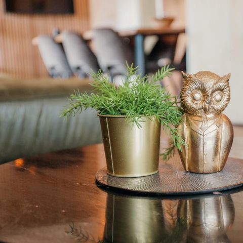 Bungalow 8 personen - Grijze Veen