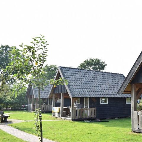 VAKANTIEHUIS 18 personen - Houtlodge