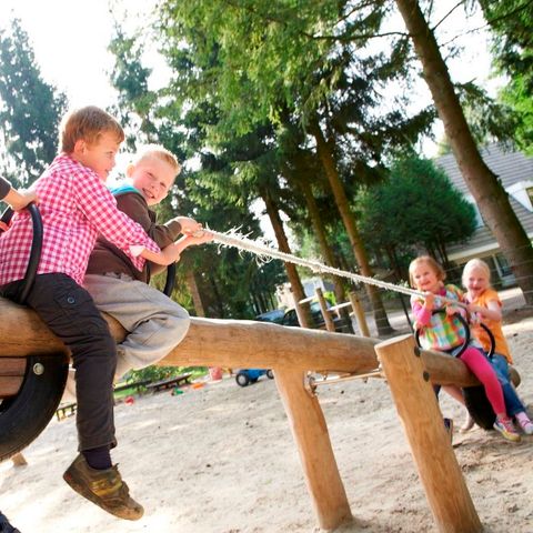 Vakantiepark De Bosrand - Epe - Afbeelding N°5