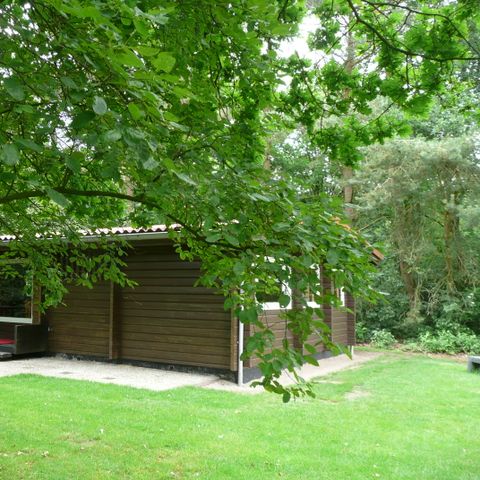 Bungalow 6 personen - Finse bungalow