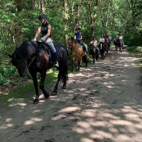 Vakantieoord De Bronzen Emmer - Coevorden - Afbeelding N°4