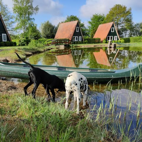 VAKANTIEHUIS 6 personen - Visserhuisje