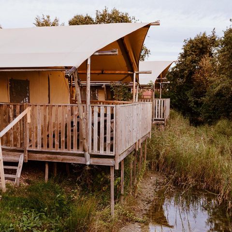 Tent 6 personen - Comfortabele Glamping