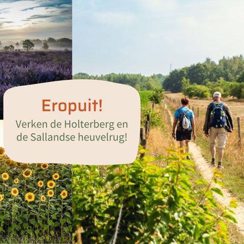 LODGE 4 personen - Lodge Oak met hottub