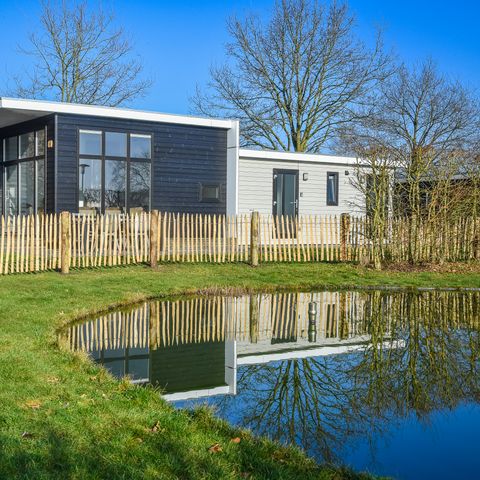 Lodge 4 personen - Forest lodge with enclosed garden | 4 personen