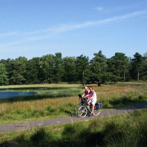 Vakantiepark Hölte - Rijssen-Holten - Afbeelding N°5
