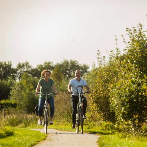 Landal Orveltermarke - Midden-Drenthe - Afbeelding N°4