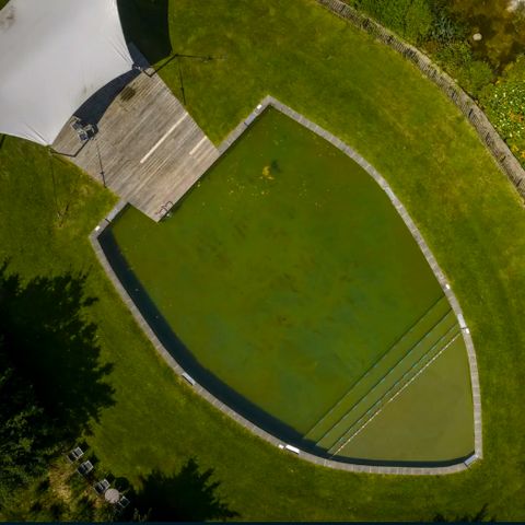 Landal Orveltermarke - Midden-Drenthe - Afbeelding N°3