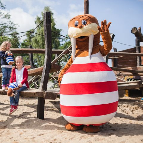 Trixi Ferienpark Zittauer Gebirge - Saksen - Afbeelding N°3