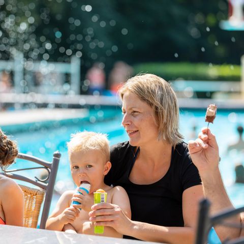 Landal Hunzepark - Aa en Hunze - Afbeelding N°3