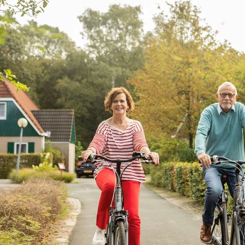 Landal Hunerwold State - Westerveld - Afbeelding N°5