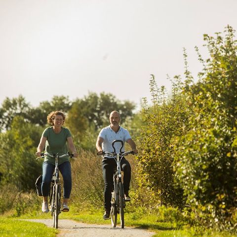 Landal Hunerwold State - Westerveld - Afbeelding N°6