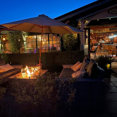 Parc Koudenburg - Ameland - Afbeelding N°6