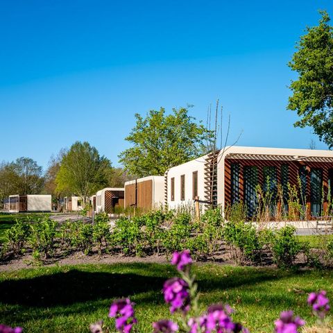 Bungalow 4 personen - Modus