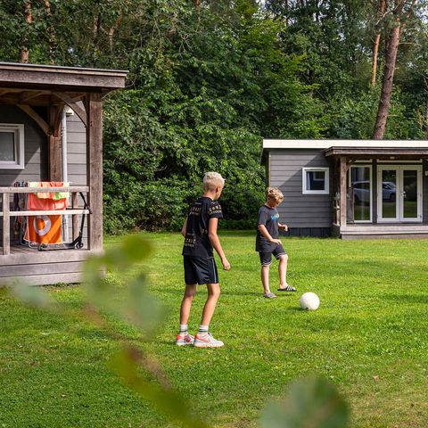 Chalet 6 personen - Anemoon