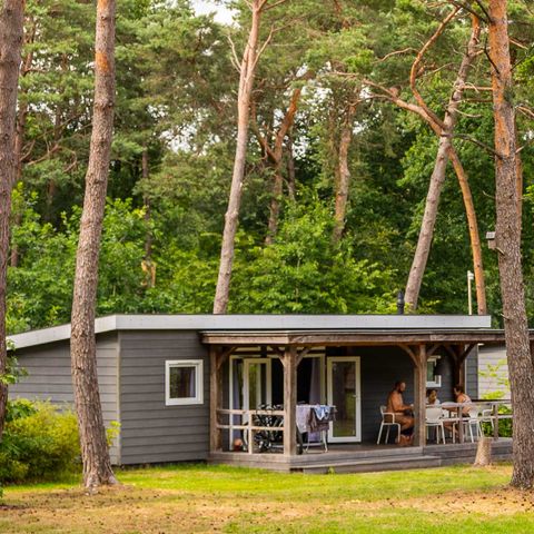 Chalet 6 personen - Anemoon