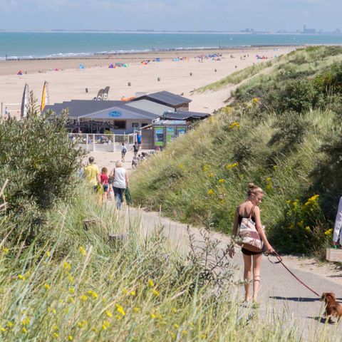 Molecaten Park Hoogduin - Camping Cadzand - Afbeelding N°2