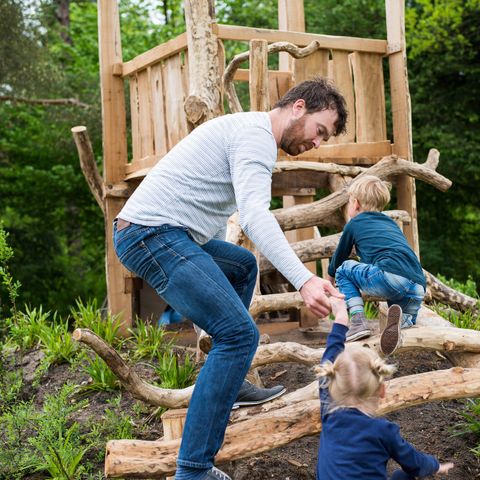 Landal Bungalowpark Hoenderloo - Apeldoorn - Afbeelding N°4