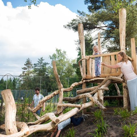 Landal Bungalowpark Hoenderloo - Apeldoorn - Afbeelding N°5