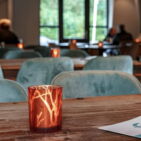 Landal Bospark Lunsbergen - Borger-Odoorn - Afbeelding N°6