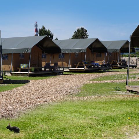 Safaritent 4 personen