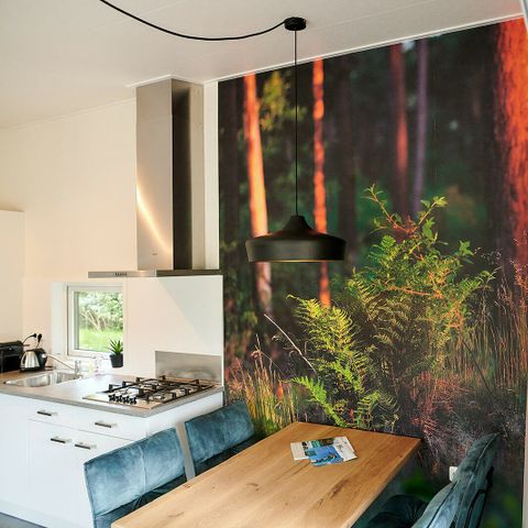 LODGE 4 personen - Lodge Zandlodge