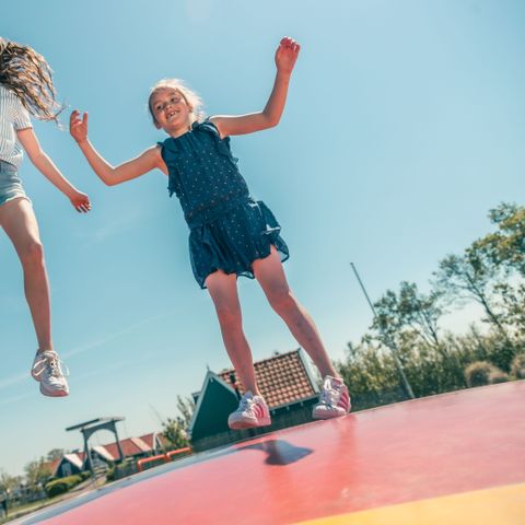 VAKANTIEHUIS 10 personen - De Rijp