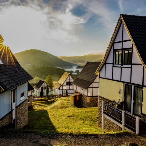 Dormio Resort Eifeler Tor - Noordrijn-Westfalen - Afbeelding N°3