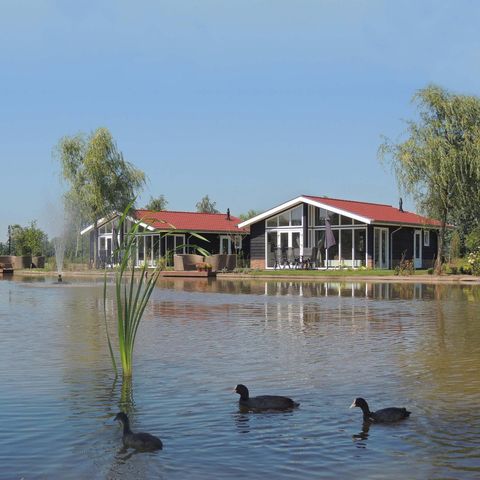 VAKANTIEHUIS 6 personen - Wilgenhoeve