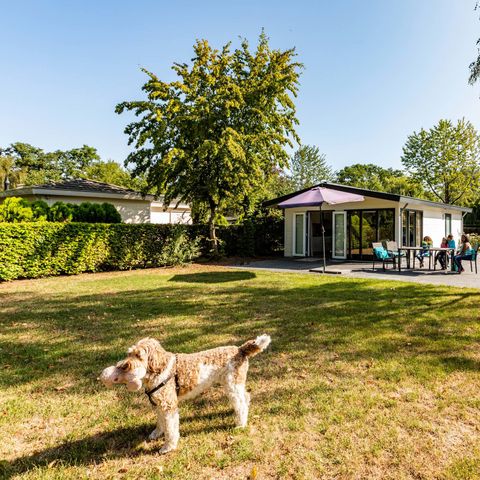 Bungalow 5 personen - Landhuis MIVA