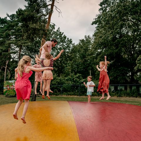 Vakantiepark Westerbergen - De Wolden - Afbeelding N°4