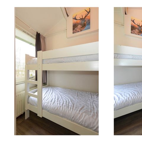 Bungalow 6 personen - Bos Sequoia