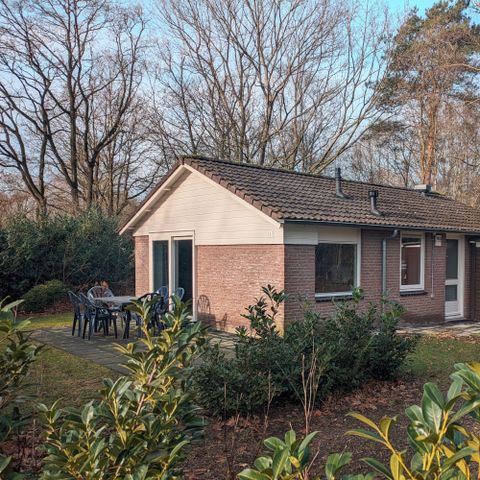 Bungalow 6 personen - Bosbungalow Veenbes