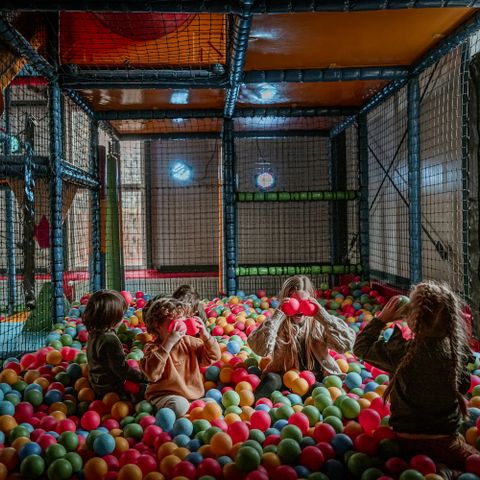 Vakantiepark Westerbergen - De Wolden - Afbeelding N°4