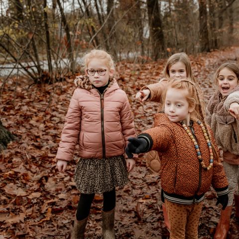 Vakantiepark Westerbergen - De Wolden - Afbeelding N°3