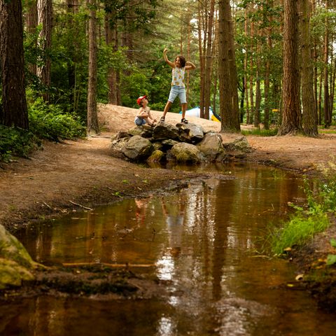 RCN Vakantiepark de Flaasbloem - Goirle - Afbeelding N°5