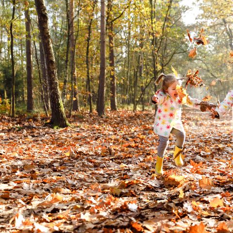 RCN Vakantiepark de Flaasbloem - Goirle - Afbeelding N°3