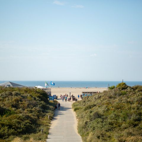 RCN Vakantiepark Toppershoedje - Camping Goeree-Overflakkee - Afbeelding N°5