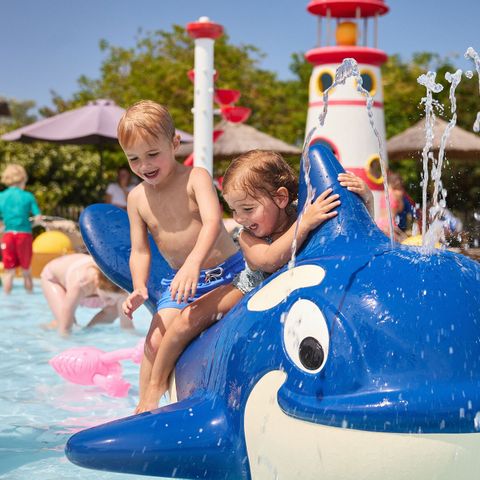 RCN Vakantiepark Toppershoedje - Goeree-Overflakkee - Afbeelding N°5