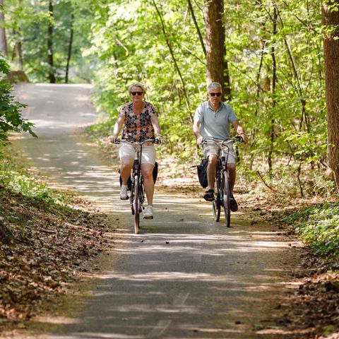 RCN Vakantiepark De Roggeberg - Camping Ooststellingwerf - Afbeelding N°4