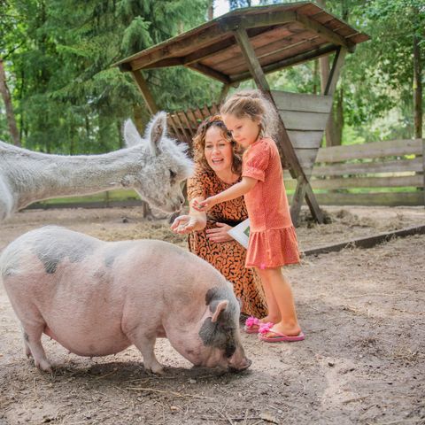 RCN Vakantiepark de Jagerstee - Epe - Afbeelding N°4